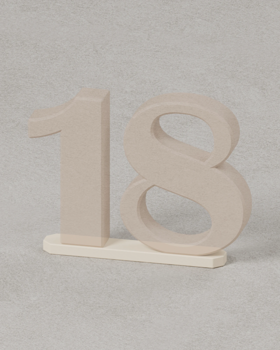 Cake Topper Double Mount | Magnetic Cake Topper Accessory | Trident Labs