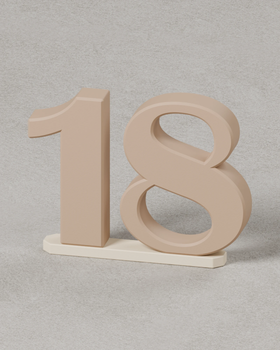 Cake Topper Double Mount | Magnetic Cake Topper Accessory | Trident Labs